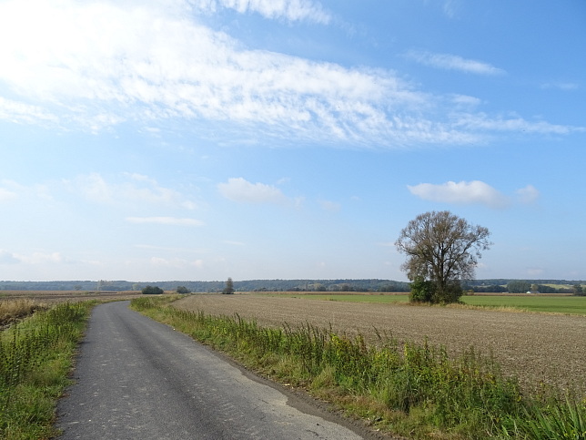 Moschendorf - Rundweg