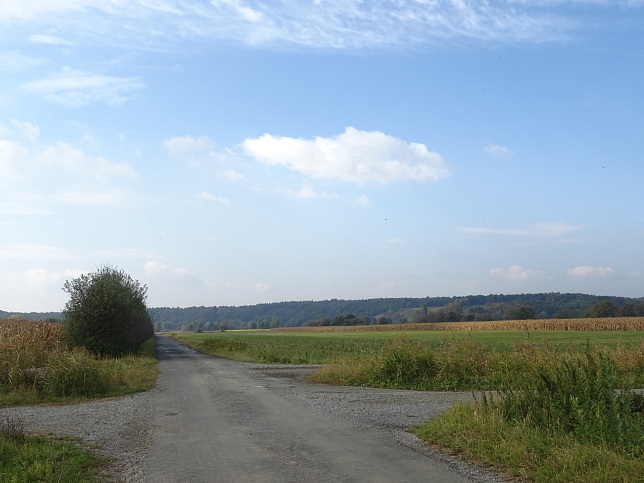 Moschendorf - Rundweg