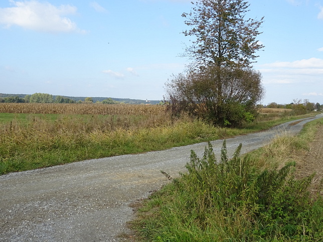 Moschendorf - Rundweg