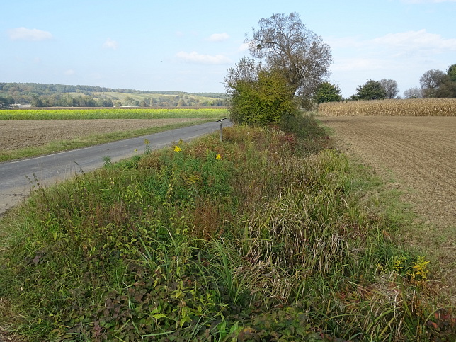 Moschendorf - Rundweg