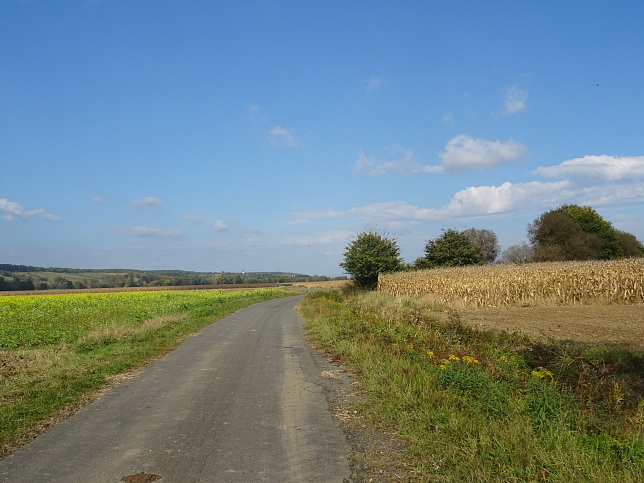 Moschendorf - Rundweg