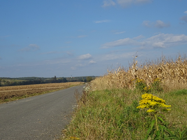 Moschendorf - Rundweg