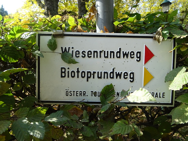 Moschendorf - Rundweg