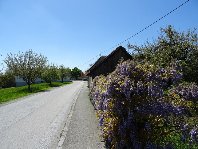 Neudauberg-Burgauberg - Golf | Geschichte | Weg