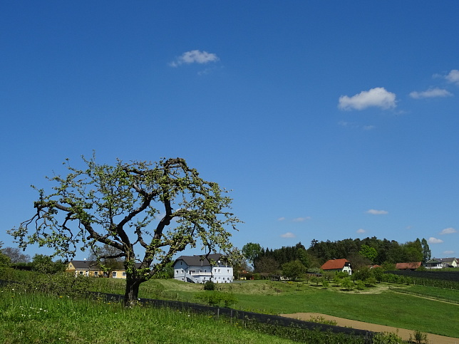 Neudauberg-Burgauberg - Golf | Geschichte | Weg