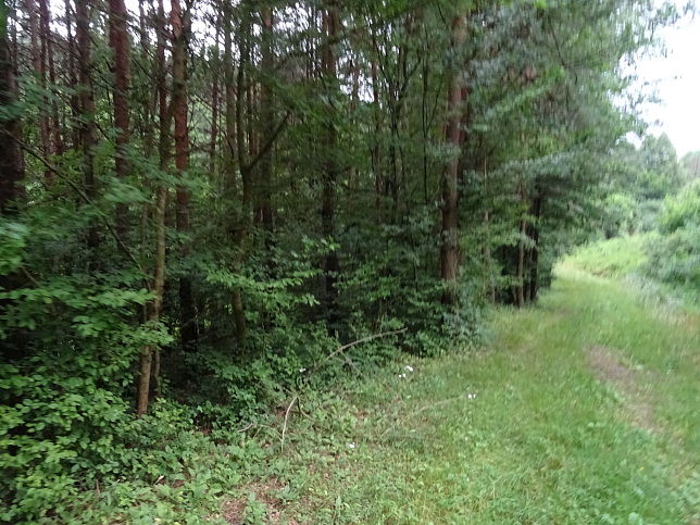 Neumarkt an der Raab - Hexenweg