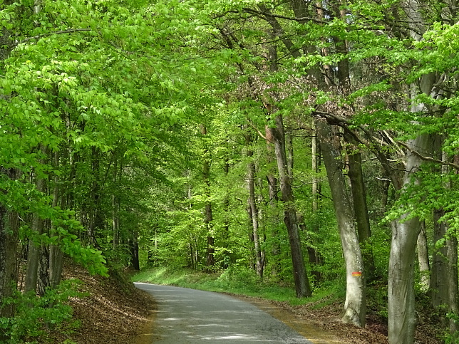 Wanderweg - Neustift-Fidischwald