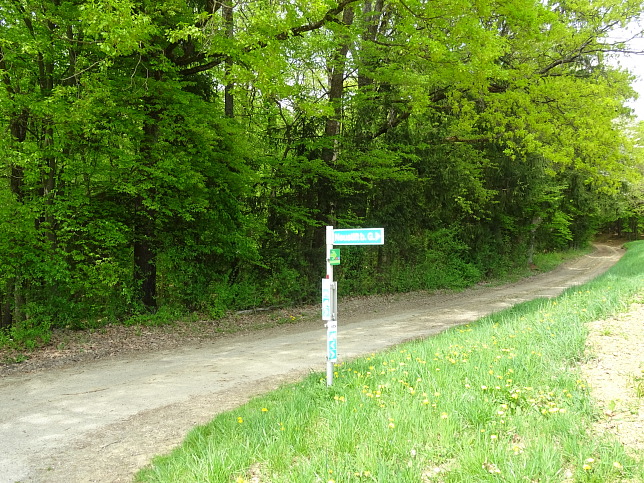 Wanderweg - Neustift-Fidischwald