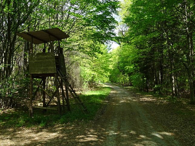 Wanderweg - Neustift-Fidischwald