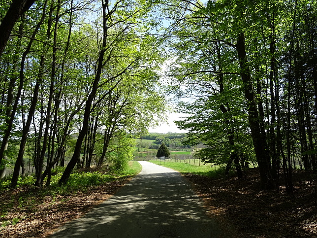 Wanderweg - Neustift-Fidischwald