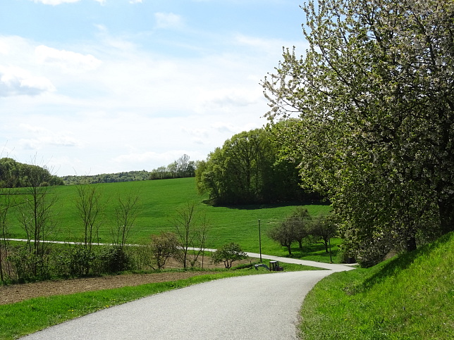 Wanderweg - Neustift-Fidischwald