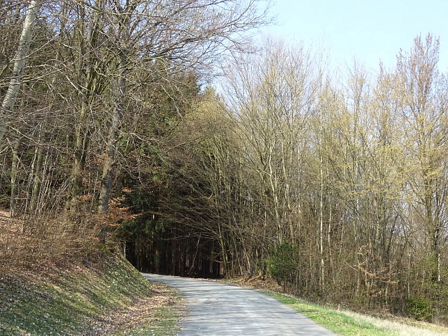 Wanderweg - Neustift-Herrenberg