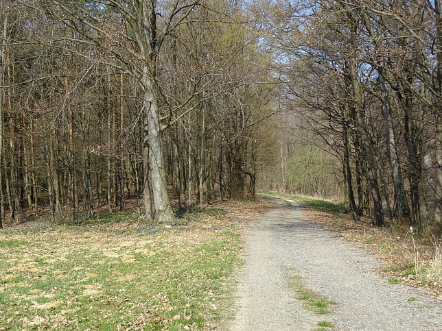 Wanderweg - Neustift-Herrenberg