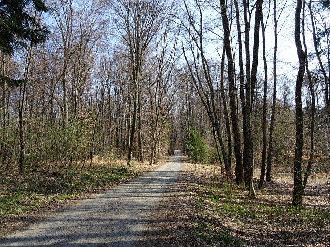 Wanderweg - Neustift-Herrenberg