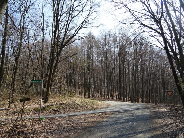 Wanderweg - Neustift-Herrenberg