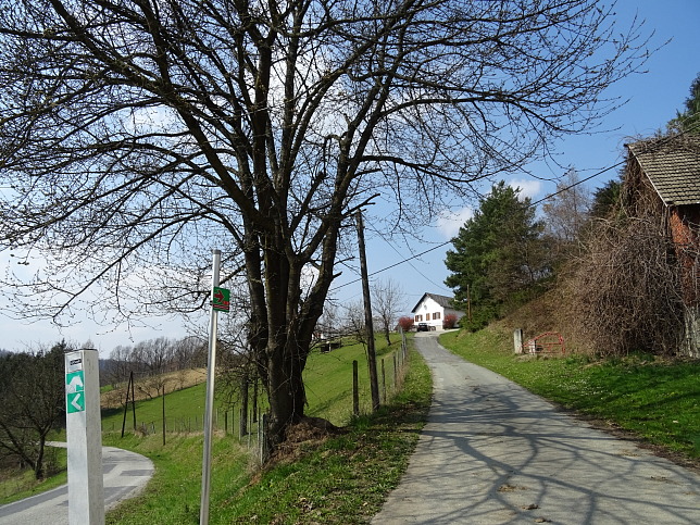 Wanderweg - Neustift-Herrenberg