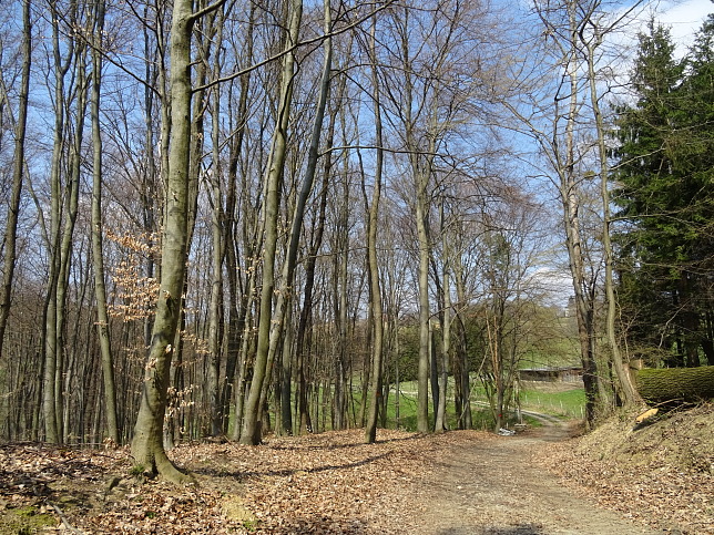 Wanderweg - Neustift-Herrenberg