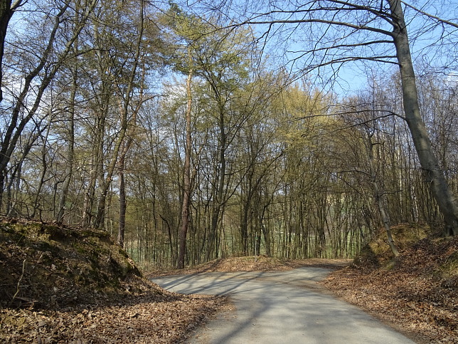 Wanderweg - Neustift-Herrenberg