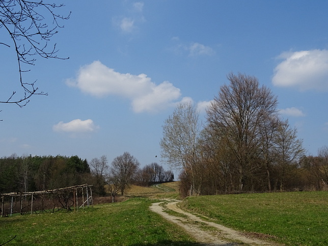 Wanderweg - Neustift-Herrenberg