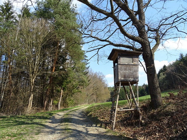 Neustift-Rosenberg