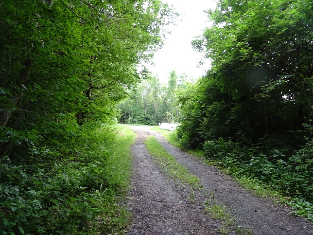 Oberschtzen - Panoramaweg W54