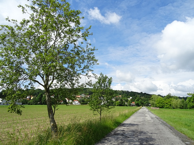 Gerichtsbergweg W65