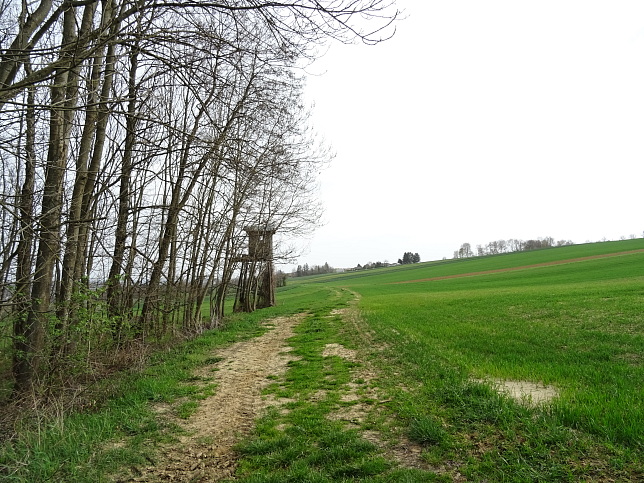 Stadtschlaining - W 30-Burgblickweg