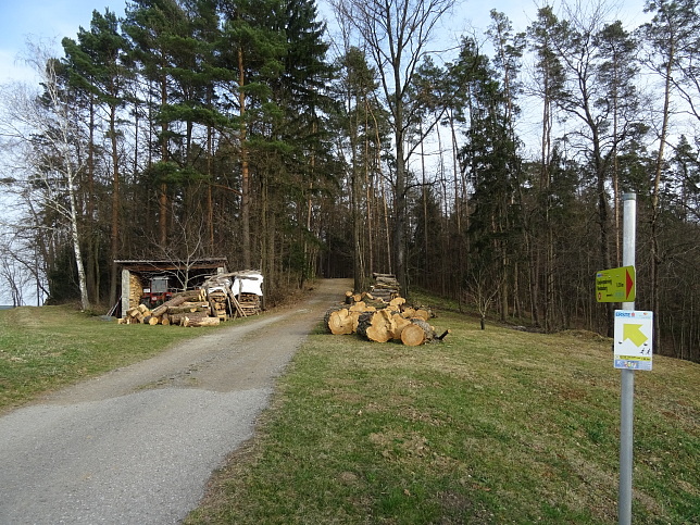 Reiter's Resort Runde S3