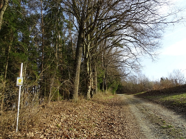 Reiter's Resort Runde S3