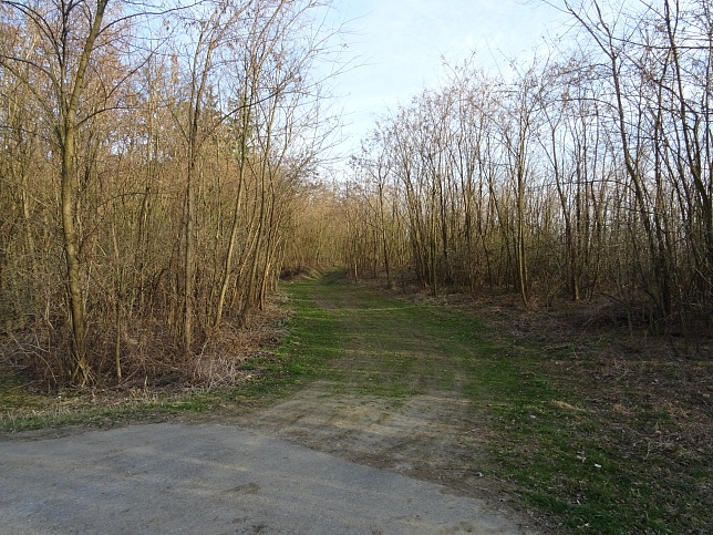 Reiter's Resort Runde S3