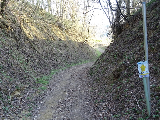 Reiter's Resort Runde S3