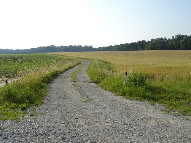 Steinfurt - Rundweg