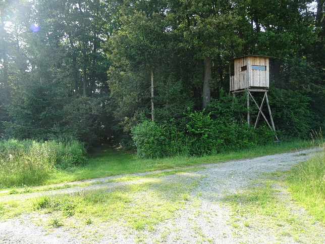 Steinfurt - Rundweg