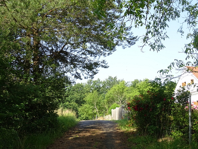 Steinfurt - Rundweg