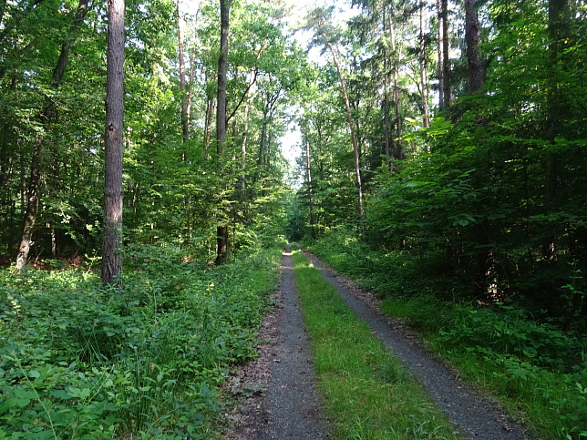 Steinfurt - Rundweg