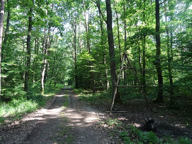 Steinfurt - Rundweg