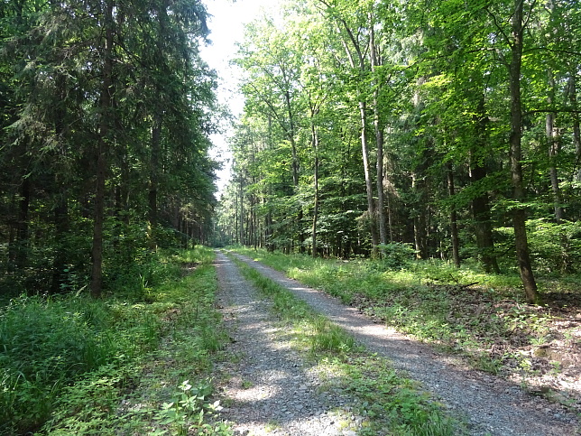 Steinfurt - Rundweg