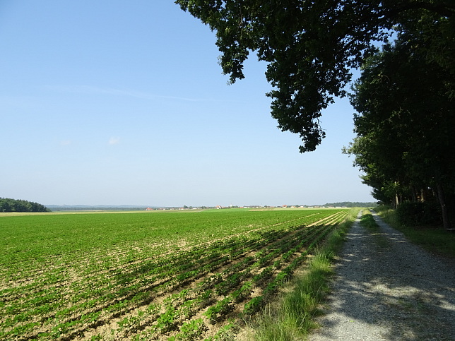 Steinfurt - Rundweg