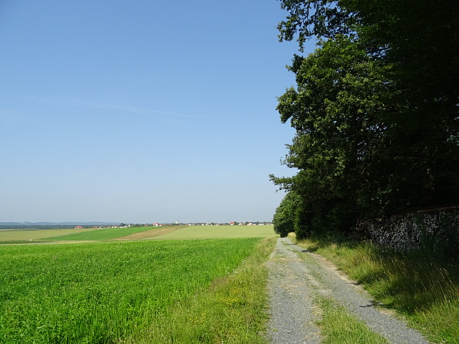 Steinfurt - Rundweg