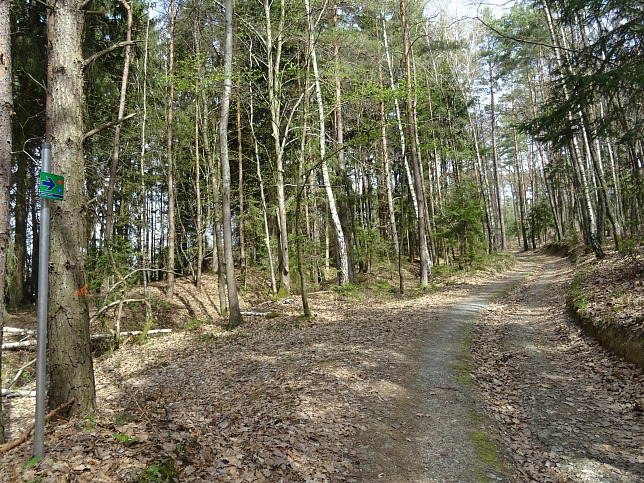 Sulz - Vitaweg 2