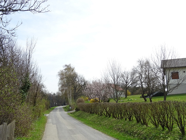 Sulz - Vitaweg 2