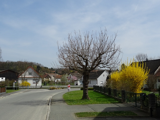 Sulz - Vitaweg 2