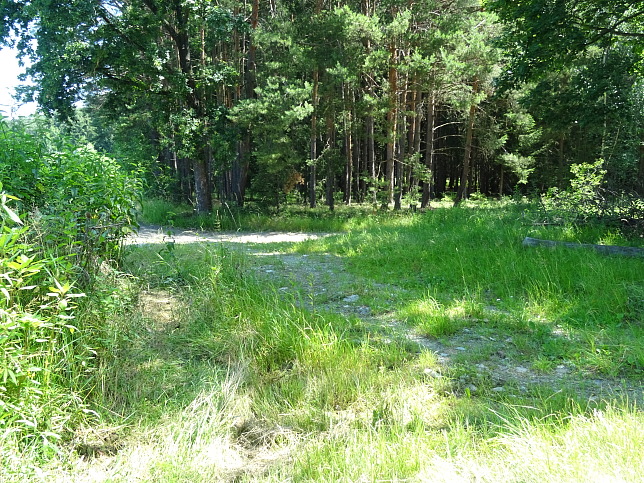 Wrterberg - Rundweg