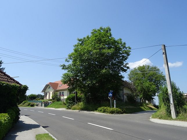 Wrterberg - Rundweg
