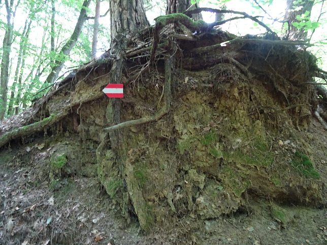 Wrterberg - Rundweg