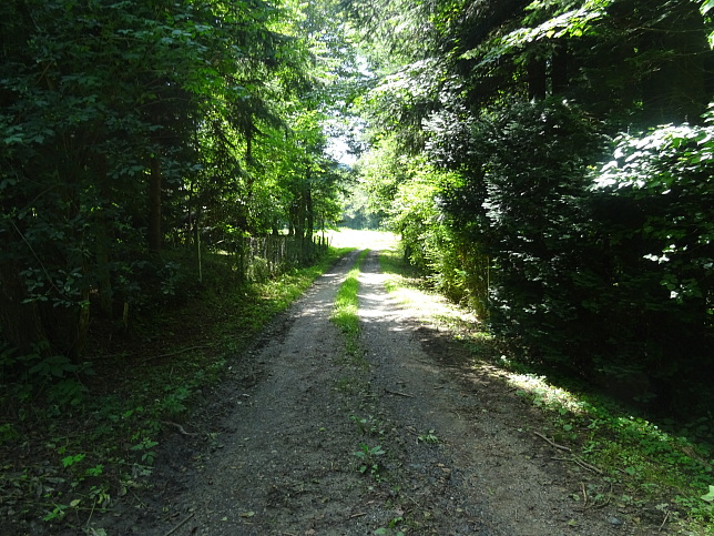Wrterberg - Rundweg