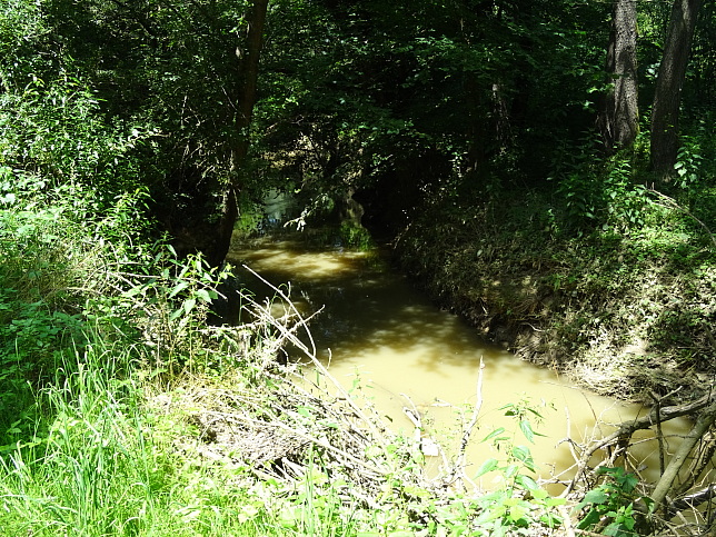 Wrterberg - Rundweg
