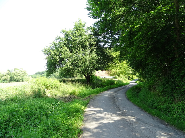 Wrterberg - Rundweg