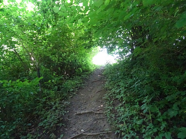 Wrterberg - Rundweg