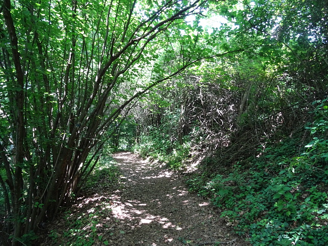 Wrterberg - Rundweg